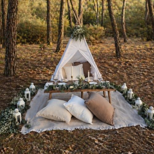 Picnic Campo 2